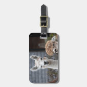 アルパカ ラゲッジタグ (正面縦)