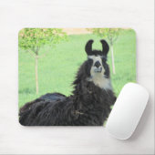 アルパカ、ラマのマウスパッド マウスパッド (マウス)