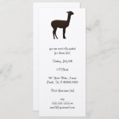 アルパカ 招待状 (正面/裏面)