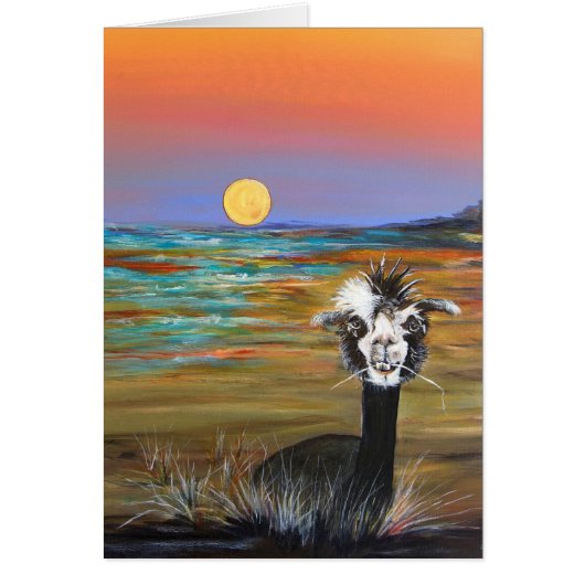 アルパカ-物語カードを持つヴィンチェンツォ (正面)