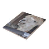 アルパカ、白 タイル (側面)