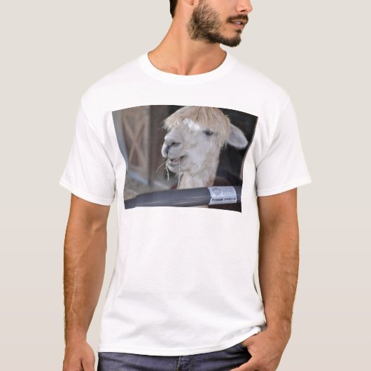 アルパカ 白 Tシャツ (正面)