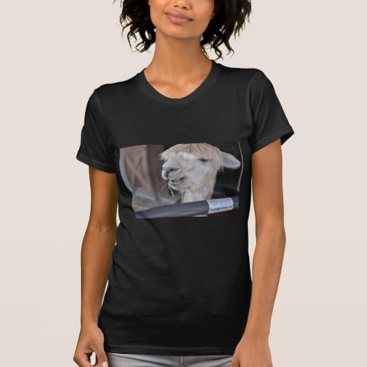 アルパカ 白 Tシャツ (正面)