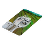 アルパカ – Little Dreamer magnet マグネット (左側)