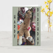 アルパ与えカ「誕生日アドバイス」(1日楽しむ) カード (黄色い花)