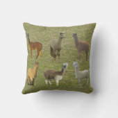 アルパ得カス？ クッション (裏面)