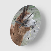 アルパ食べカの干し草の動物写真 ラウンド壁時計 (傾斜)