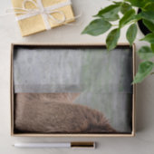 アルパ食べカの干し草の動物写真 薄葉紙 (ギフト)