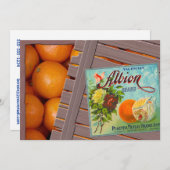 アルビオンオレンジ果木箱ラベル 招待状 (正面/裏面)