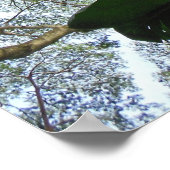 アルビシアツリー ポスター (角)