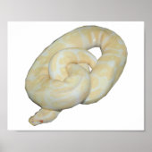 アルビノのまわりに ポスター (正面)