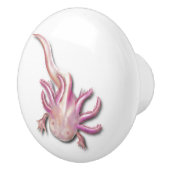 アルビノアクソロトル「歩く魚」アート セラミックノブ (右)