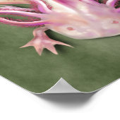 アルビノアクソロトル「歩く魚」アート ポスター (角)