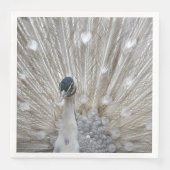 アルビノエレガントピーコック (正面)