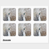 アルビノエレガントピーコック スクエアシール (シート)