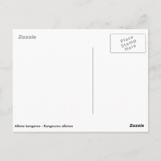 アルビノカンガルーとその小さな ポストカード (裏面)