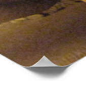 アルビノコーンスネーク ポスター (角)