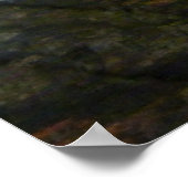 アルビノスネーク ポスター (角)