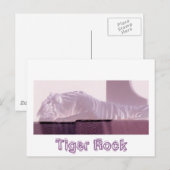 アルビノタイガー ポストカード (正面/裏面)