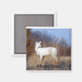 アルビノディアマグネット マグネット (正面/裏面)