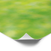 アルビノディアー ポスター (コーナー)