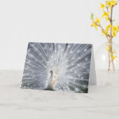 アルビノピーコック カード (黄色い花)