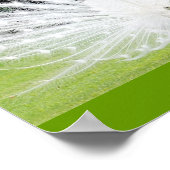 アルビノピーコック ポスター (角)