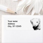 アルビノフェレット写真 ラベル (インサイチュ)