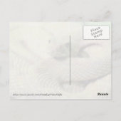 アルビノラトルズナケポストカード ポストカード (裏面)