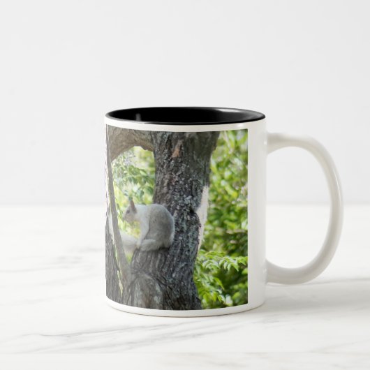 アルビノリス・マグ ツートーンマグカップ (右)