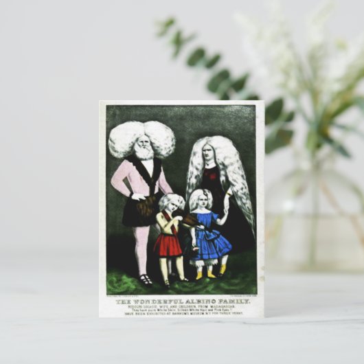 アルビノ家族の素晴らしいポストカード ポストカード (スタンド正面)