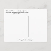 アルビンポラセク彫刻庭園ウィンターパークFL ポストカード (裏面)