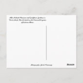 アルビンポラセク彫刻庭園ウィンターパークFL ポストカード (裏面)