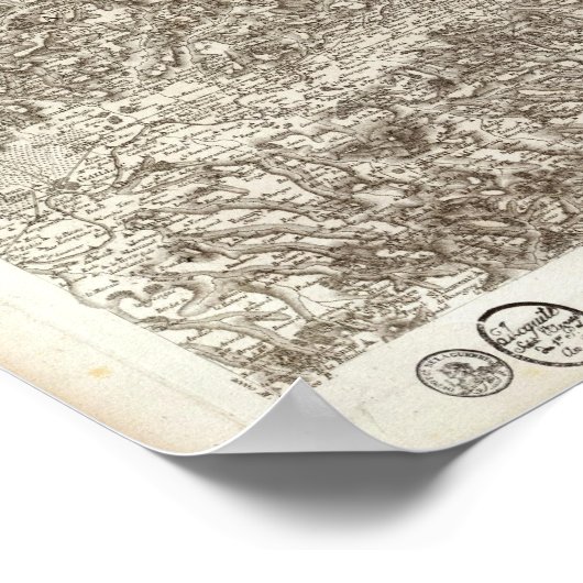 アルビ ポスター (角)