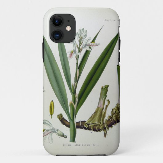 アルピニア・オフィナーラム Case-Mate iPhoneケース (裏面)