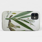 アルピニア・オフィナーラム Case-Mate iPhoneケース (裏面(横))