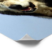 アルファウルフカップル ポスター (角)