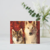 アルファウルフ秋ポストカード ポストカード (スタンド正面)