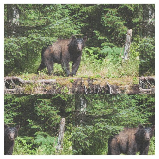 アルファツキノワグマ ファブリック (クローズアップ)