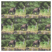 アルファツキノワグマ ファブリック (見本)