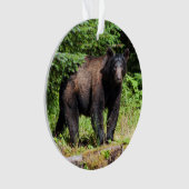 アルファブラックベア オーナメント (正面)