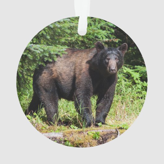 アルファブラックベア オーナメント (裏面)