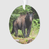 アルファブラックベア オーナメント (正面)