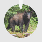 アルファブラックベア オーナメント (正面)