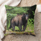 アルファブラックベア クッション (ブランケット)