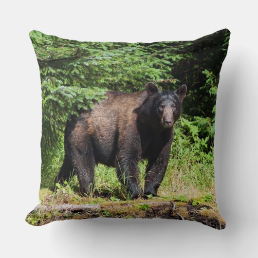 アルファブラックベア クッション (正面)