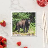 アルファブラックベア スタンダードカクテルナプキン (インサイチュ)