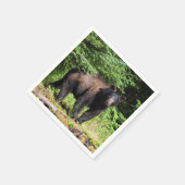 アルファブラックベア スタンダードカクテルナプキン (角)