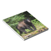 アルファブラックベア ノートパッド (アングル)