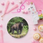 アルファブラックベア ペーパープレート (パーティー)